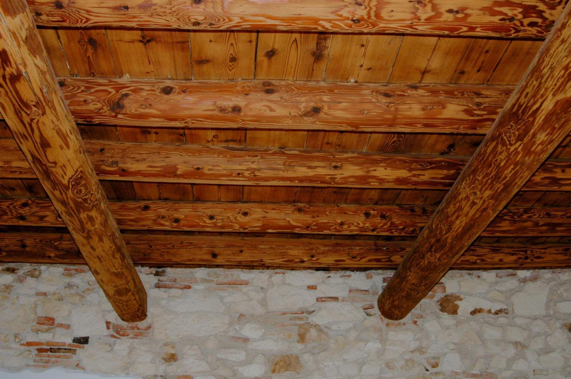 Agriturismo La Sophora Montegaldella Dış mekan fotoğraf