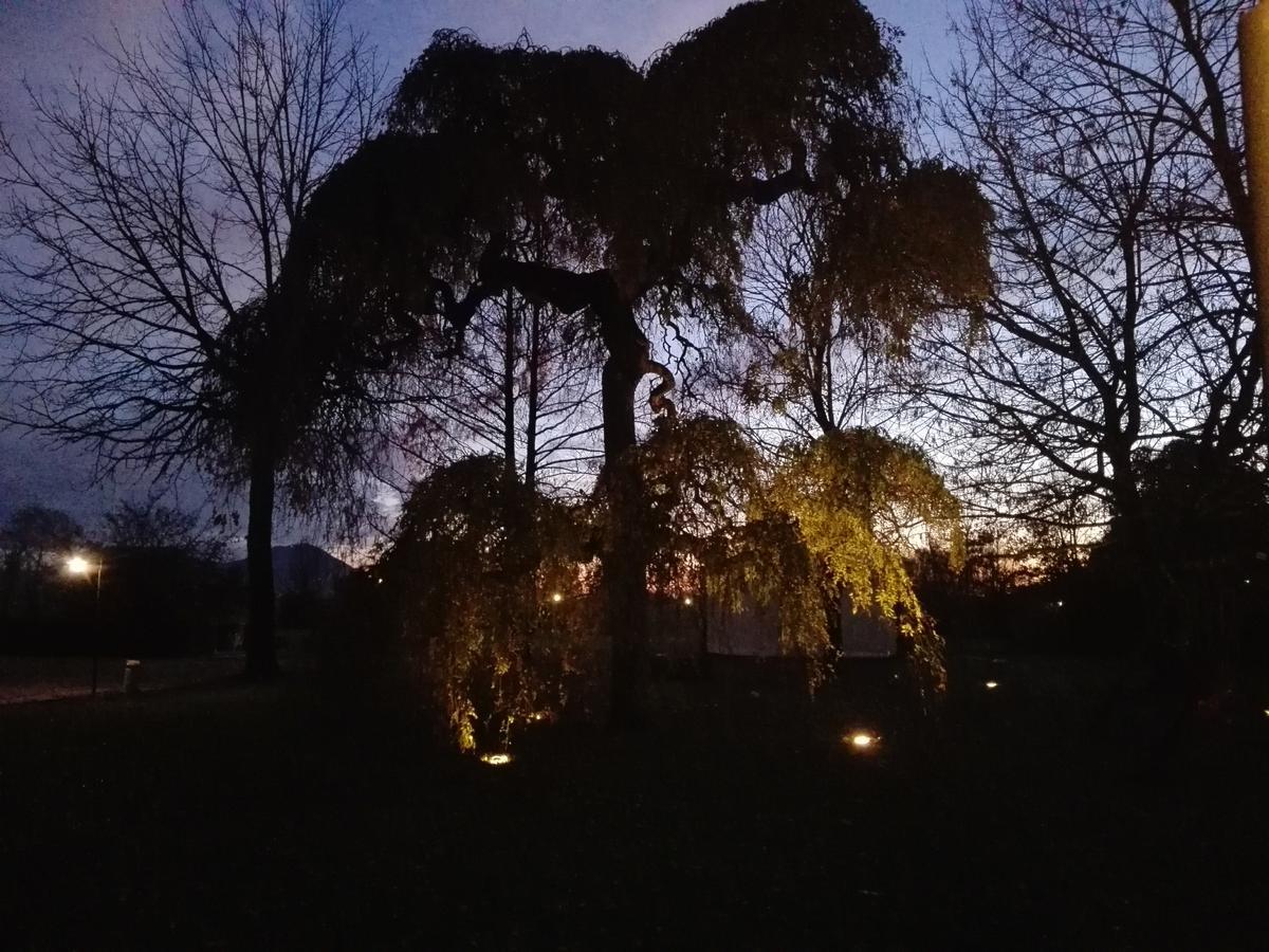 Agriturismo La Sophora Montegaldella Dış mekan fotoğraf