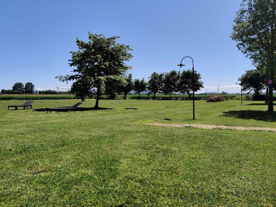 Agriturismo La Sophora Montegaldella Dış mekan fotoğraf