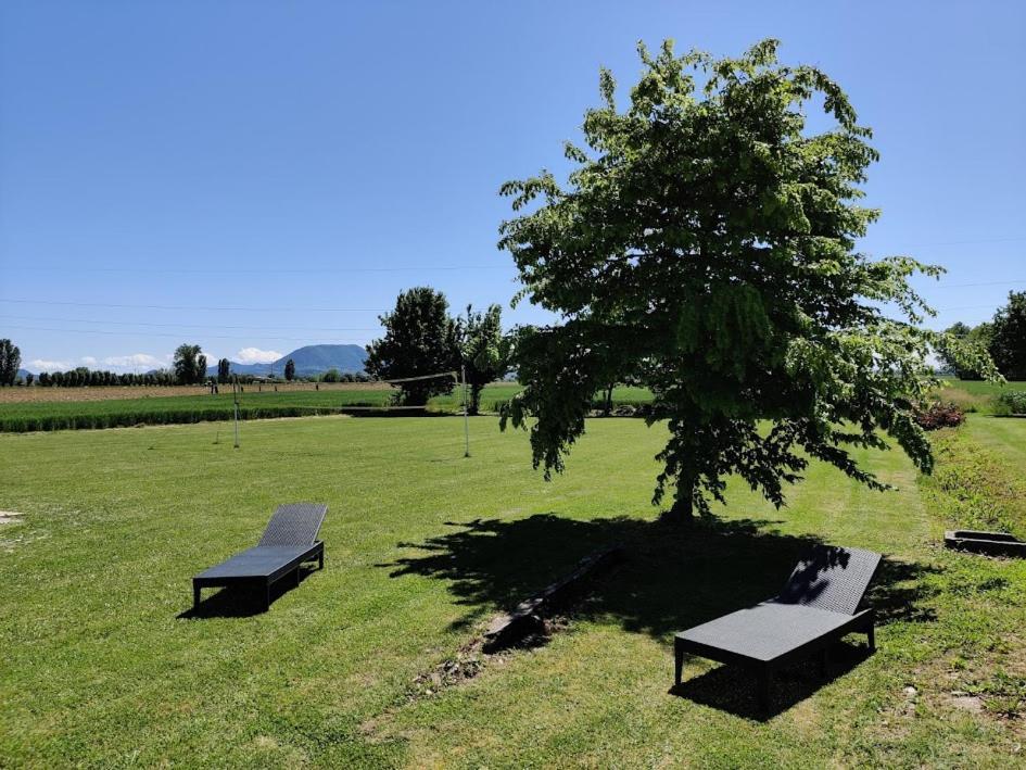 Agriturismo La Sophora Montegaldella Dış mekan fotoğraf