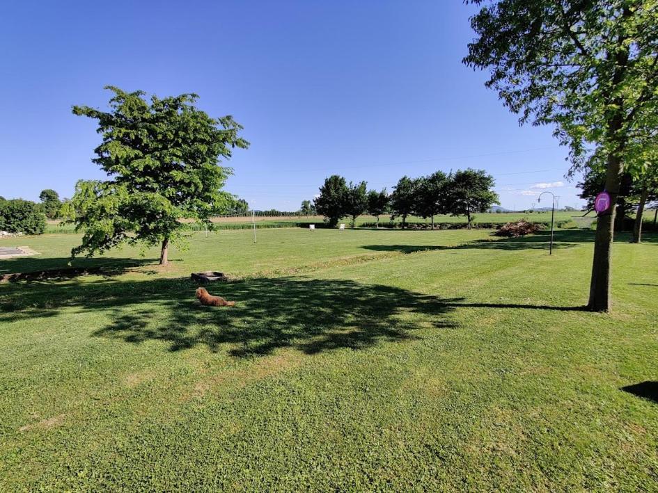 Agriturismo La Sophora Montegaldella Dış mekan fotoğraf
